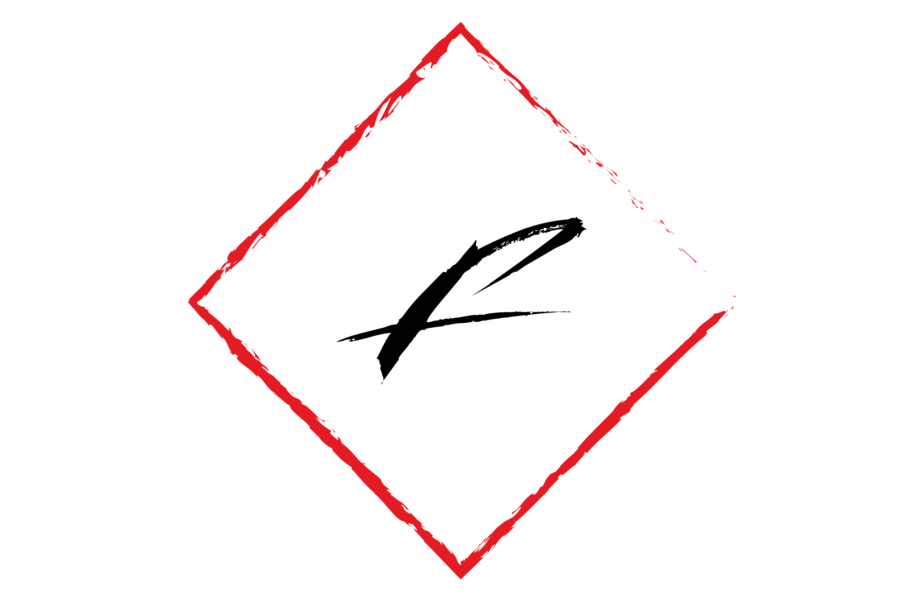 website logo